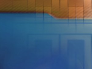 投资组合成熟度评估模型